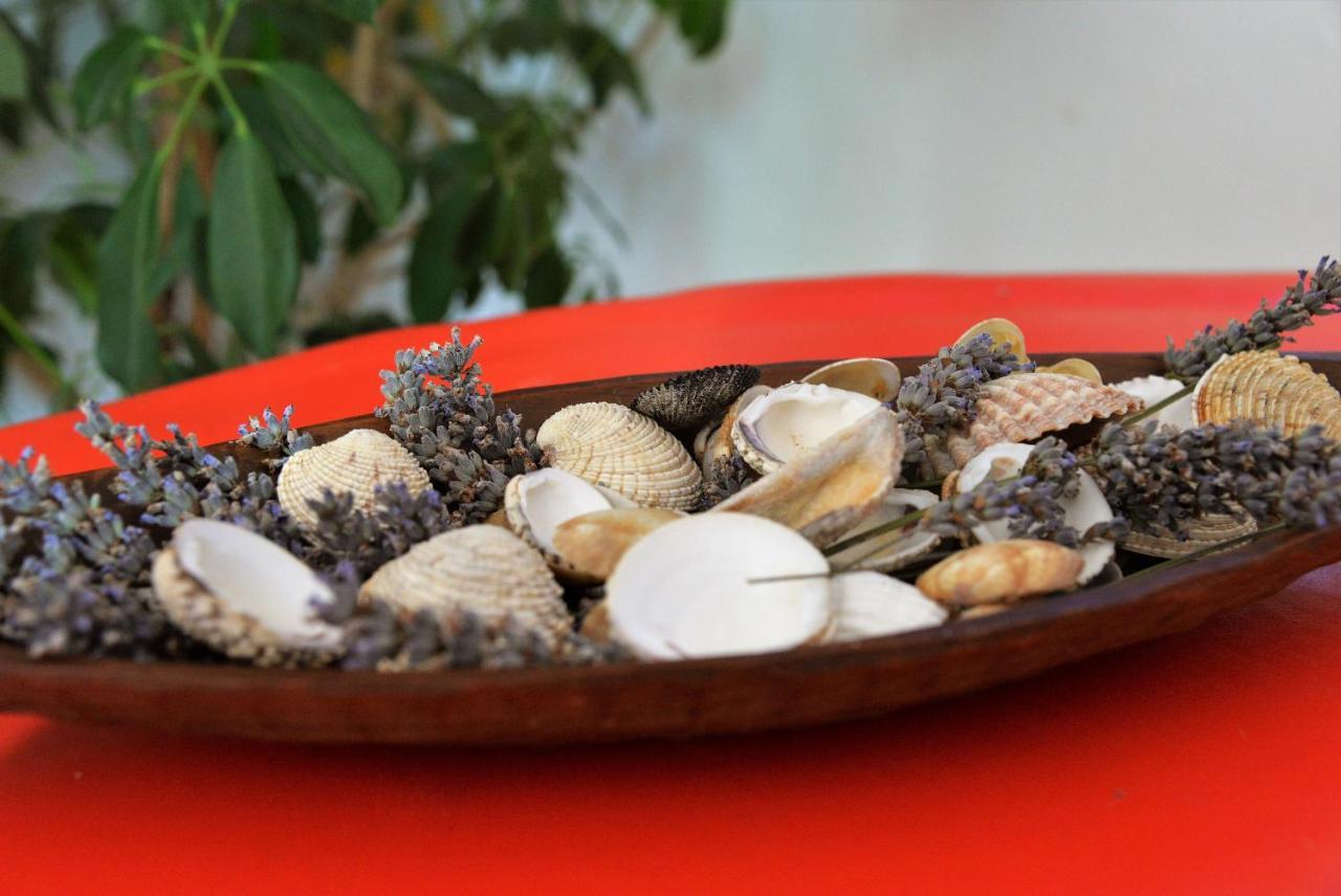 Slanica Murter Ngoại thất bức ảnh